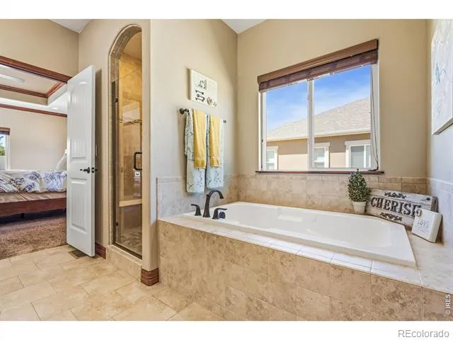 7419 Ladbroke Drive Windsor, CO 80550