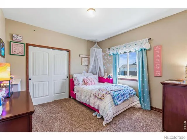 7419 Ladbroke Drive Windsor, CO 80550