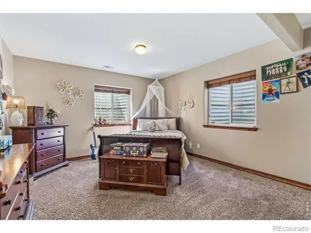7419 Ladbroke Drive Windsor, CO 80550