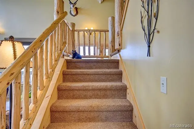 33705 Mt Harvard Circle Buena Vista, CO 81211