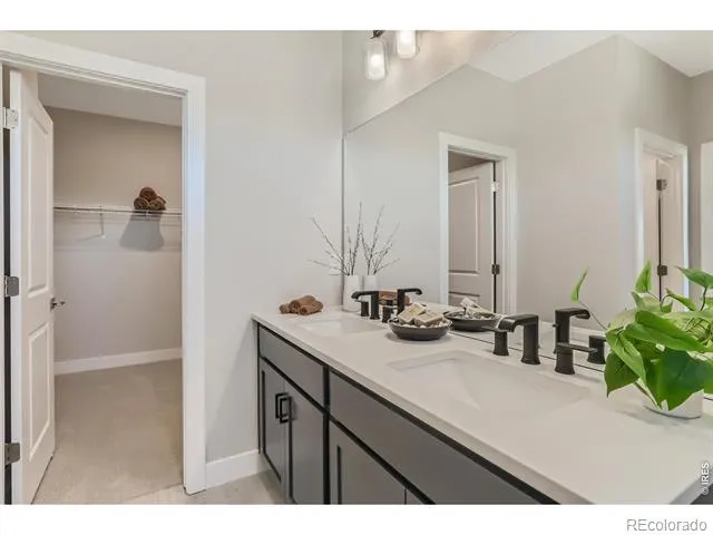 7332 Swan River Street Frederick, CO 80530