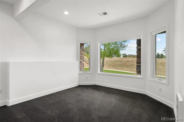 5602 Silver Bluff Court Parker, CO 80134