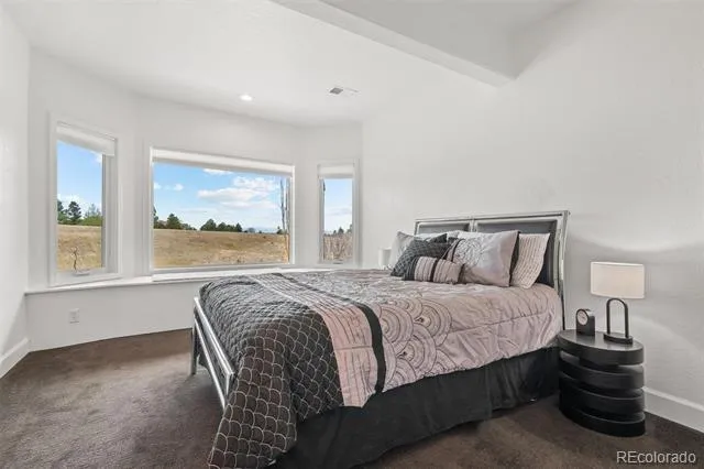 5602 Silver Bluff Court Parker, CO 80134