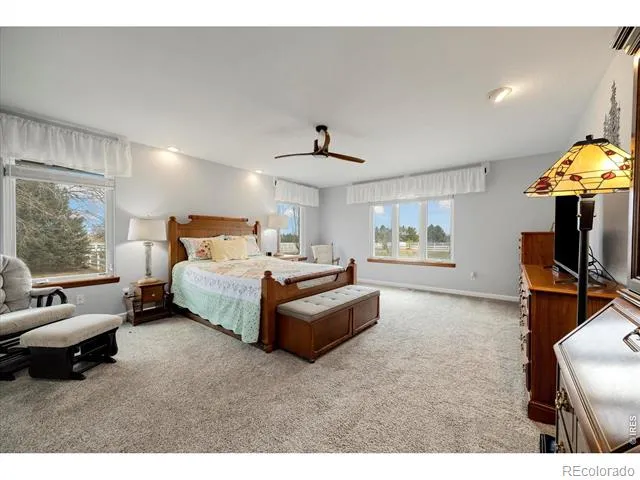 3806 Singletree Court Mead, CO 80542