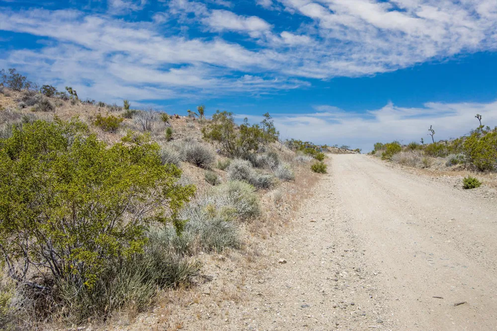 58365 Cereus Avenue Yucca Valley, CA 92284
