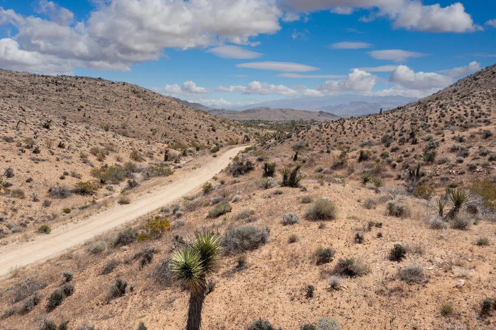 58365 Cereus Avenue Yucca Valley, CA 92284