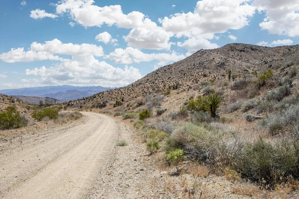 58365 Cereus Avenue Yucca Valley, CA 92284