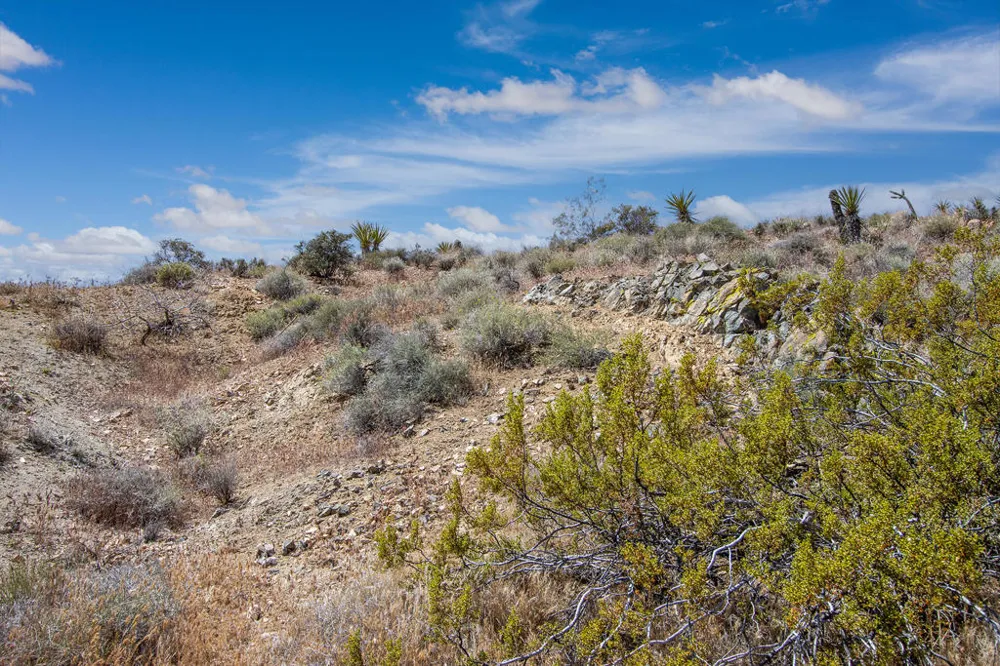 58365 Cereus Avenue Yucca Valley, CA 92284