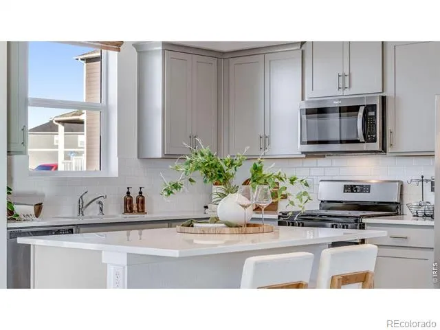 1008 Annelles Pool Lane Severance, CO 80550