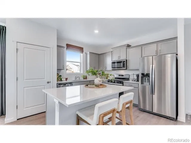 1008 Annelles Pool Lane Severance, CO 80550