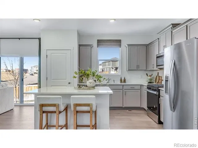 1008 Annelles Pool Lane Severance, CO 80550
