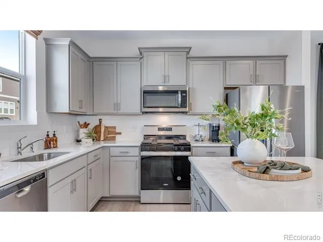 1008 Annelles Pool Lane Severance, CO 80550