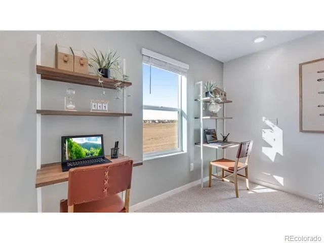 1008 Annelles Pool Lane Severance, CO 80550