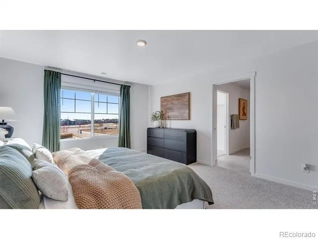 1008 Annelles Pool Lane Severance, CO 80550