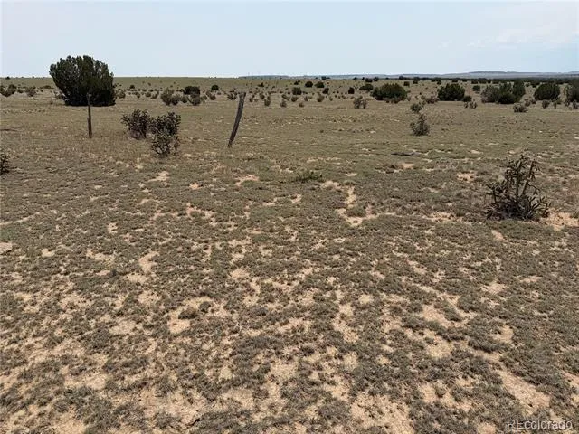 Lot 167 Tyrone Hills Ranch Walsenburg, CO 81089