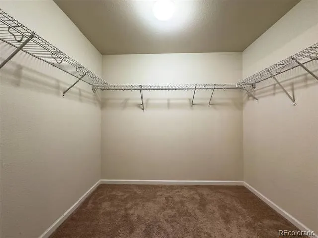 1578 Sepia Avenue Longmont, CO 80501