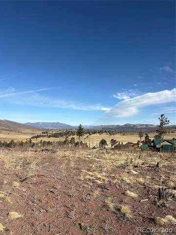 000 Riccardo Lane Fort Garland, CO 81133