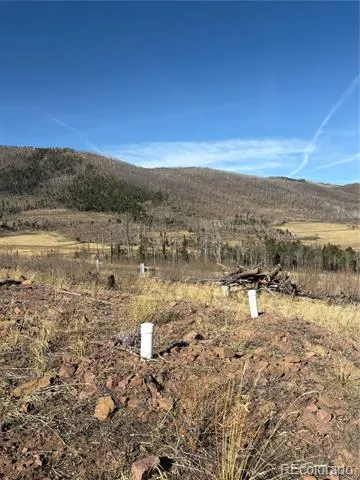 000 Riccardo Lane Fort Garland, CO 81133