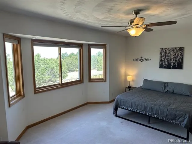 105 Indian Hill Road Mosca, CO 81146