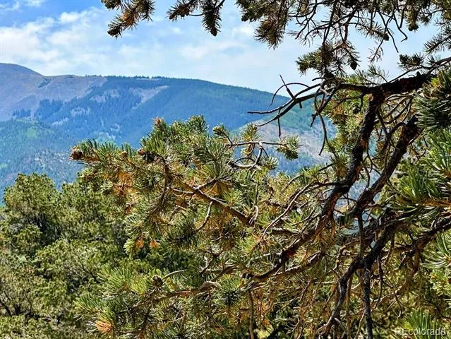 105 Indian Hill Road Mosca, CO 81146