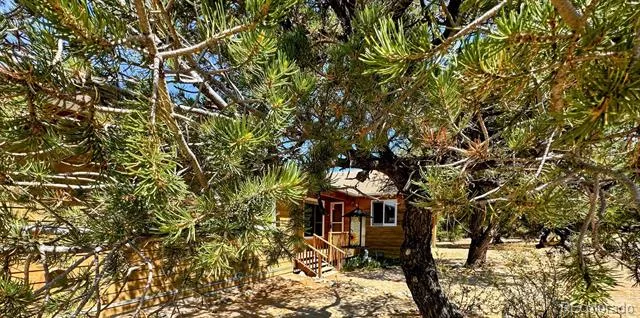 105 Indian Hill Road Mosca, CO 81146