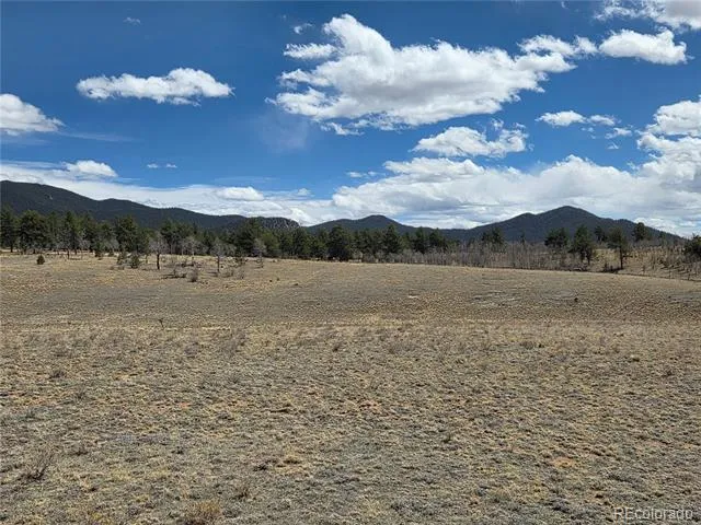 3489 Ute Trace Hartsel, CO 80449
