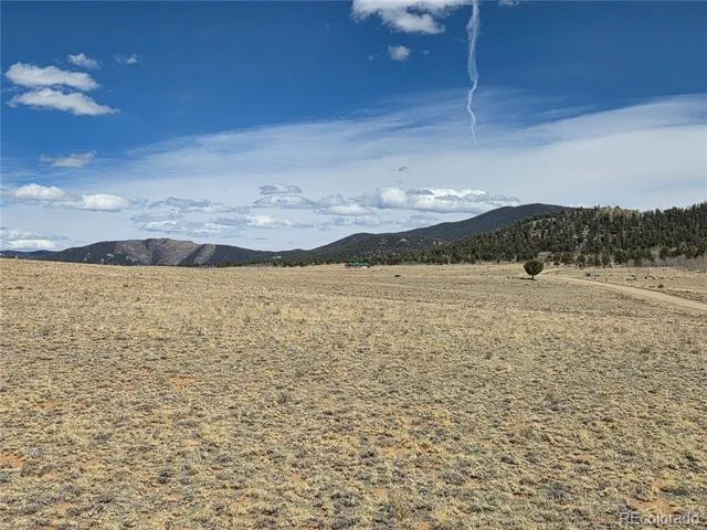 3489 Ute Trace Hartsel, CO 80449