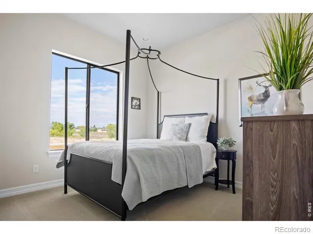 206 Blue Fortune Drive Windsor, CO 80550