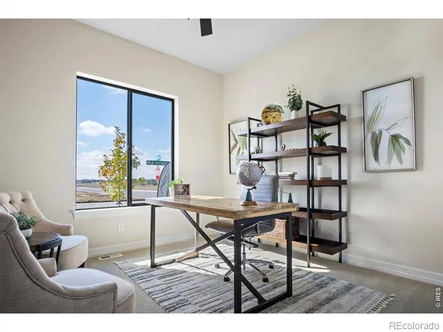 206 Blue Fortune Drive Windsor, CO 80550