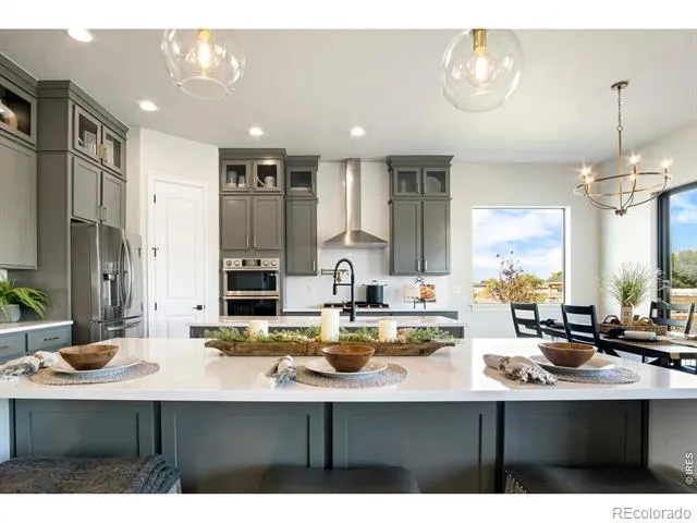 206 Blue Fortune Drive Windsor, CO 80550
