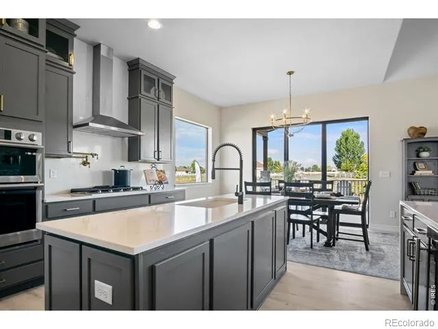 206 Blue Fortune Drive Windsor, CO 80550