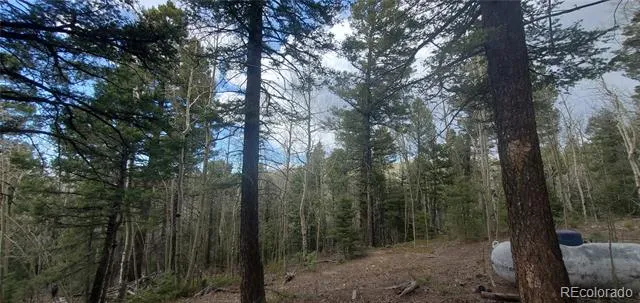 6800 Starkweather Road San Luis, CO 81152