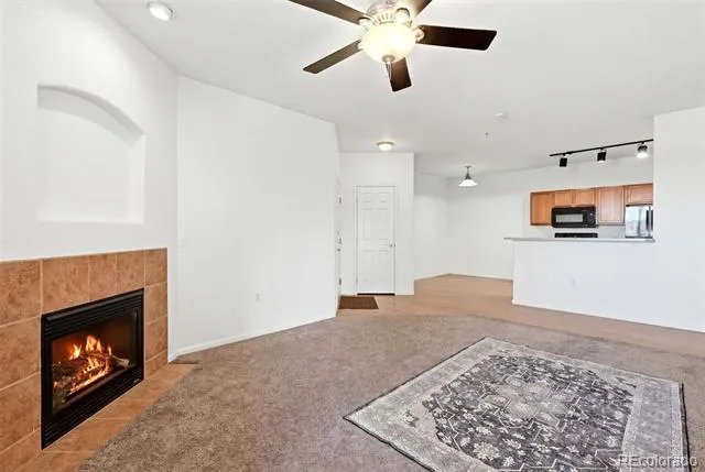 10733 S Twenty Mile Road #203 Parker, CO 80134