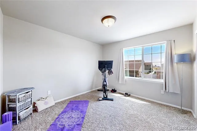 1002 Maplebrook Drive Windsor, CO 80550