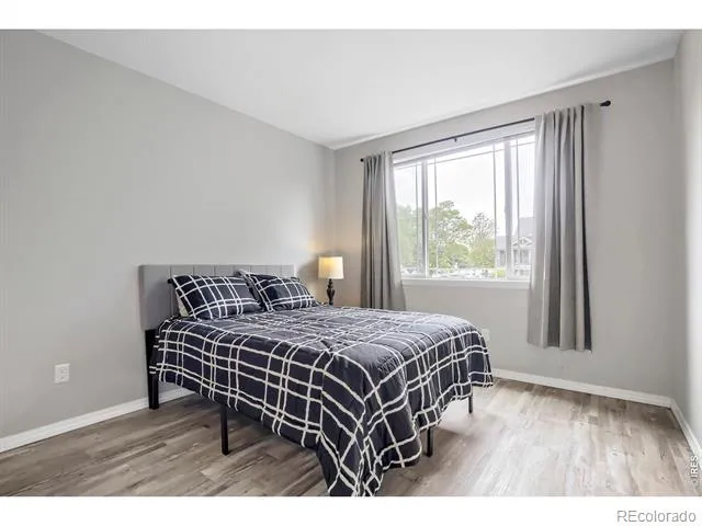 804 Summer Hawk Drive #5207 Longmont, CO 80504