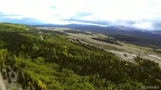 64 Glissade Trail Alma, CO 80420