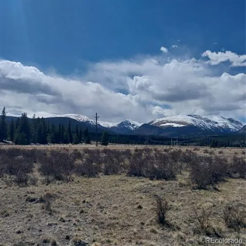 64 Glissade Trail Alma, CO 80420