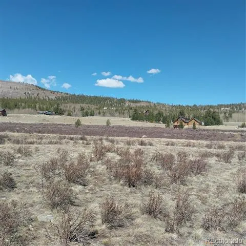 64 Glissade Trail Alma, CO 80420