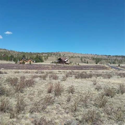 64 Glissade Trail Alma, CO 80420