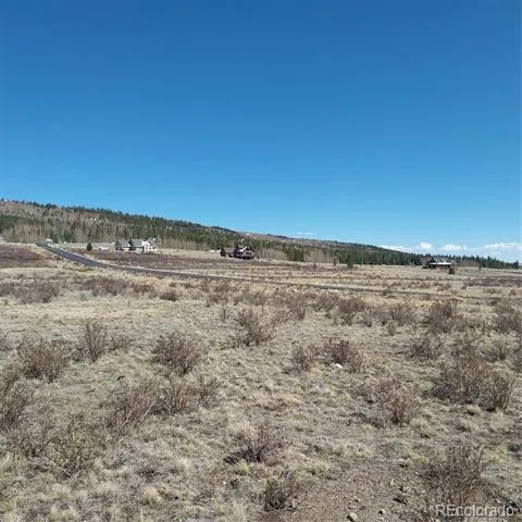 64 Glissade Trail Alma, CO 80420