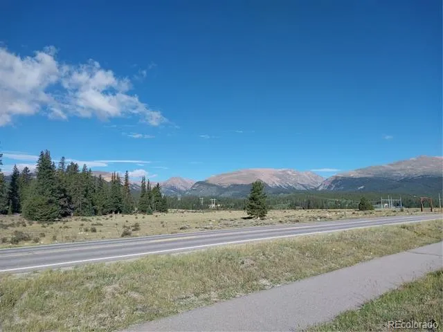 64 Glissade Trail Alma, CO 80420