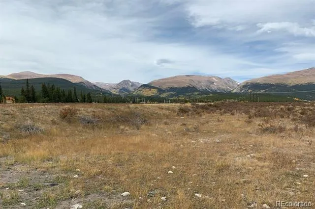 64 Glissade Trail Alma, CO 80420