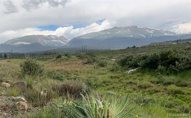 64 Glissade Trail Alma, CO 80420