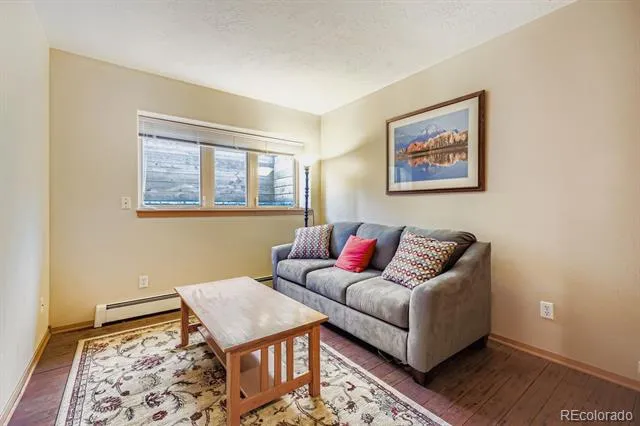 323 Twenty Grand Drive Silverthorne, CO 80498