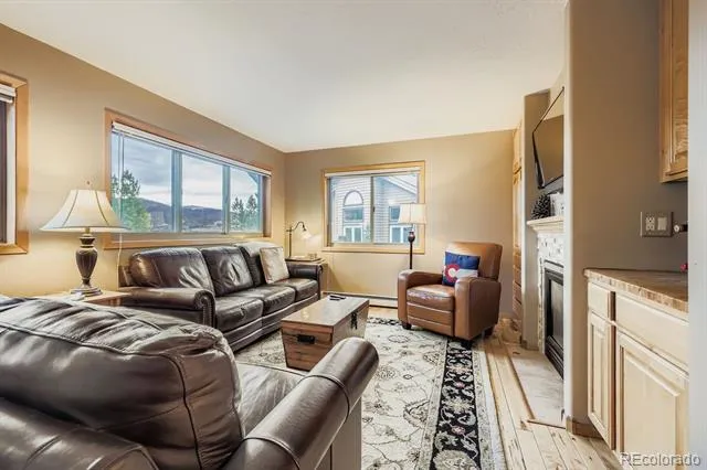 323 Twenty Grand Drive Silverthorne, CO 80498