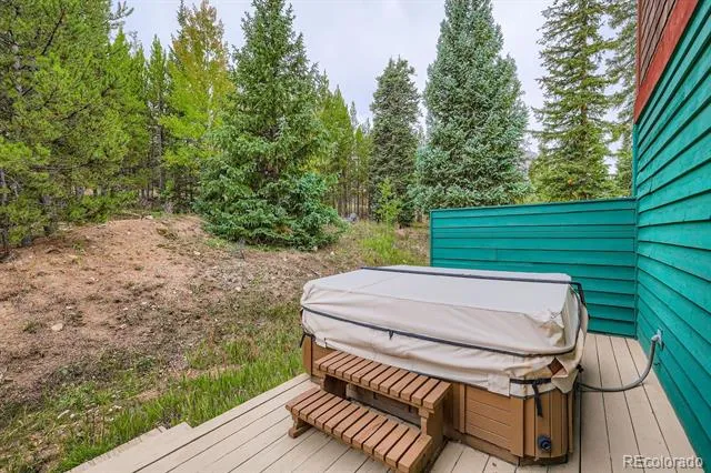 323 Twenty Grand Drive Silverthorne, CO 80498