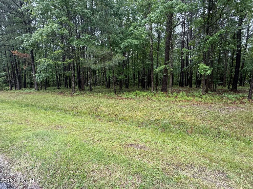 0 Stillwater Drive Belhaven, NC 27810