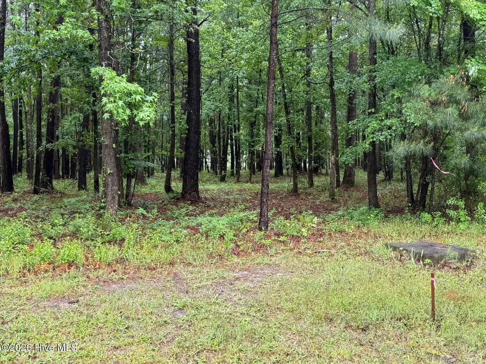 0 Stillwater Drive Belhaven, NC 27810