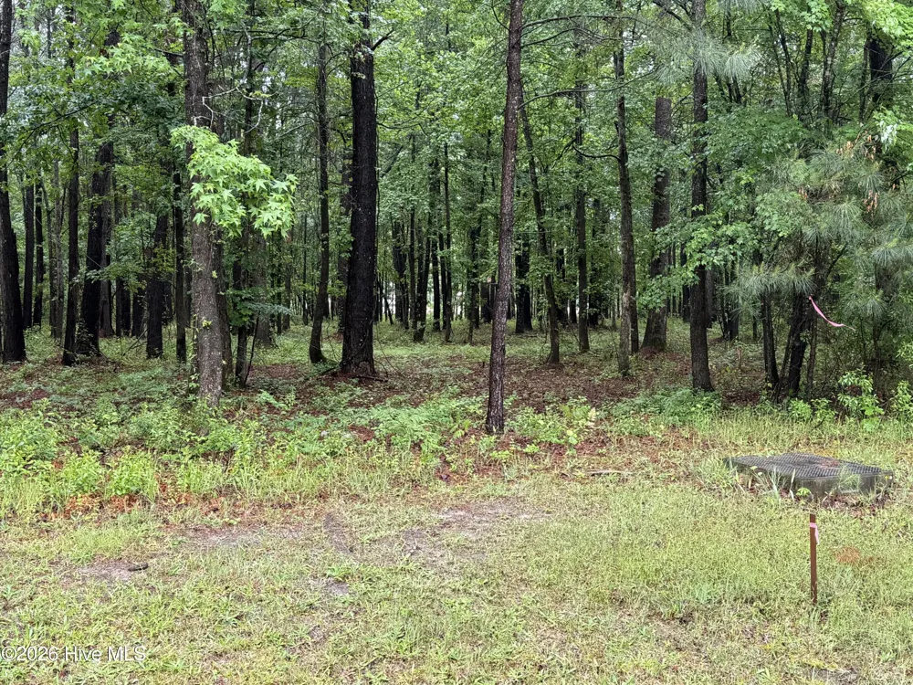 0 Stillwater Drive Belhaven, NC 27810