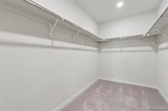 3642 Sandreed Street Dacono, CO 80514